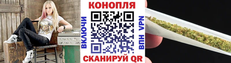 Купить где  Бугуруслан  Марихуана план 